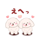 ふたごの白トイプードル（個別スタンプ：25）