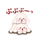 ふたごの白トイプードル（個別スタンプ：26）