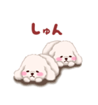 ふたごの白トイプードル（個別スタンプ：29）