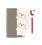ふたごの白トイプードル（個別スタンプ：33）