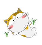 三毛猫×ハチワレ×LINEスタンプの日（個別スタンプ：21）