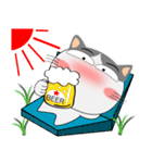 三毛猫×ハチワレ×LINEスタンプの日（個別スタンプ：22）