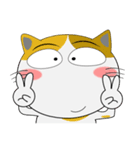 三毛猫×ハチワレ×LINEスタンプの日（個別スタンプ：23）