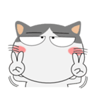 三毛猫×ハチワレ×LINEスタンプの日（個別スタンプ：24）
