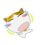 三毛猫×ハチワレ×LINEスタンプの日（個別スタンプ：25）