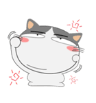 三毛猫×ハチワレ×LINEスタンプの日（個別スタンプ：28）