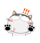 三毛猫×ハチワレ×LINEスタンプの日（個別スタンプ：30）
