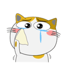 三毛猫×ハチワレ×LINEスタンプの日（個別スタンプ：31）