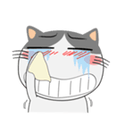 三毛猫×ハチワレ×LINEスタンプの日（個別スタンプ：32）