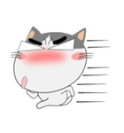 三毛猫×ハチワレ×LINEスタンプの日（個別スタンプ：34）
