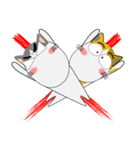三毛猫×ハチワレ×LINEスタンプの日（個別スタンプ：40）