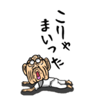 【BIG】江戸っ子じい（東京都）（個別スタンプ：36）