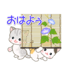 夏～秋 ベビーにゃんこ（個別スタンプ：1）