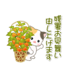 夏～秋 ベビーにゃんこ（個別スタンプ：3）