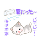 夏～秋 ベビーにゃんこ（個別スタンプ：6）