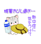 夏～秋 ベビーにゃんこ（個別スタンプ：7）