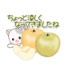 夏～秋 ベビーにゃんこ（個別スタンプ：10）