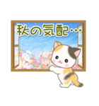 夏～秋 ベビーにゃんこ（個別スタンプ：14）
