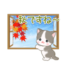 夏～秋 ベビーにゃんこ（個別スタンプ：16）