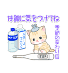 夏～秋 ベビーにゃんこ（個別スタンプ：18）