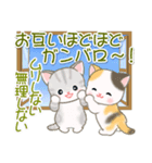 夏～秋 ベビーにゃんこ（個別スタンプ：20）