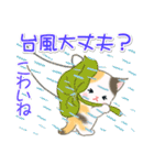 夏～秋 ベビーにゃんこ（個別スタンプ：22）