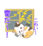 夏～秋 ベビーにゃんこ（個別スタンプ：23）