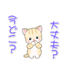夏～秋 ベビーにゃんこ（個別スタンプ：26）