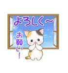 夏～秋 ベビーにゃんこ（個別スタンプ：35）
