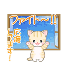 夏～秋 ベビーにゃんこ（個別スタンプ：36）