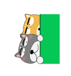 柴犬×黒柴×LINEスタンプの日（個別スタンプ：6）