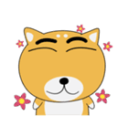 柴犬×黒柴×LINEスタンプの日（個別スタンプ：17）