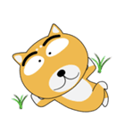 柴犬×黒柴×LINEスタンプの日（個別スタンプ：21）