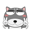 柴犬×黒柴×LINEスタンプの日（個別スタンプ：24）