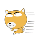 柴犬×黒柴×LINEスタンプの日（個別スタンプ：33）