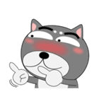 柴犬×黒柴×LINEスタンプの日（個別スタンプ：36）