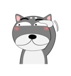 柴犬×黒柴×LINEスタンプの日（個別スタンプ：40）