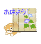 赤ちゃん豆柴 夏～秋（個別スタンプ：1）