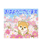 赤ちゃん豆柴 夏～秋（個別スタンプ：2）