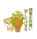 赤ちゃん豆柴 夏～秋（個別スタンプ：3）