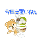赤ちゃん豆柴 夏～秋（個別スタンプ：4）