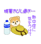 赤ちゃん豆柴 夏～秋（個別スタンプ：7）