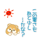 赤ちゃん豆柴 夏～秋（個別スタンプ：8）