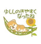 赤ちゃん豆柴 夏～秋（個別スタンプ：9）