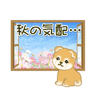 赤ちゃん豆柴 夏～秋（個別スタンプ：14）