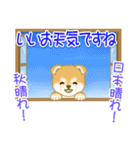 赤ちゃん豆柴 夏～秋（個別スタンプ：15）
