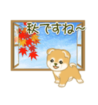 赤ちゃん豆柴 夏～秋（個別スタンプ：16）