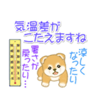 赤ちゃん豆柴 夏～秋（個別スタンプ：17）