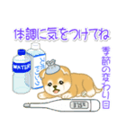 赤ちゃん豆柴 夏～秋（個別スタンプ：18）