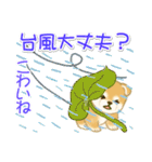 赤ちゃん豆柴 夏～秋（個別スタンプ：22）